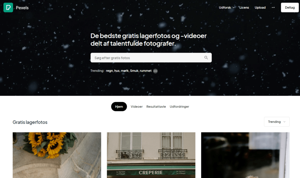 gratis billeder - pexels