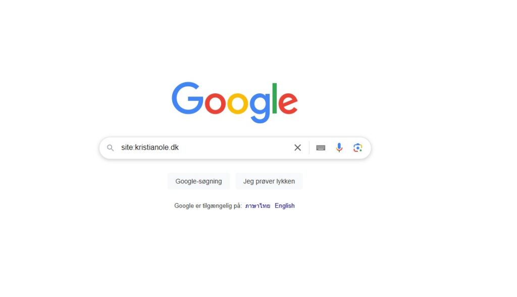 soegning paa hjemmeside med site i google